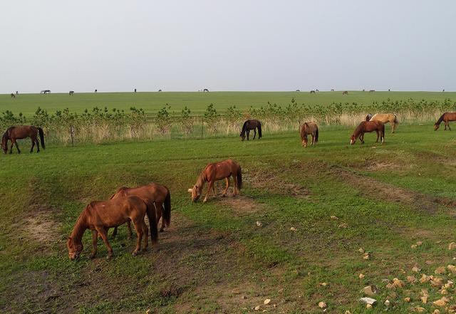 非会员体验区 但当你清晨六点去排队