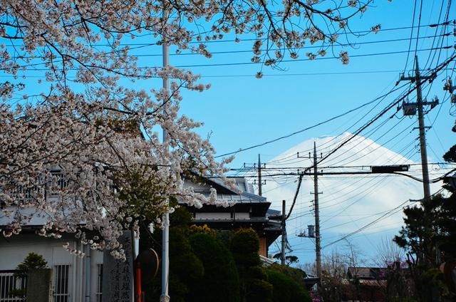 蜜芽网站入口 保护个人财产与信息安全