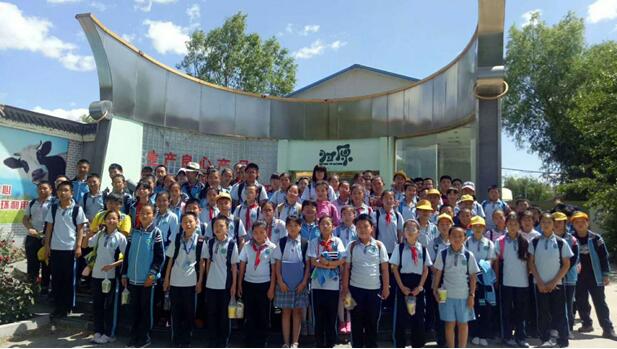 久久久久精品久久影视