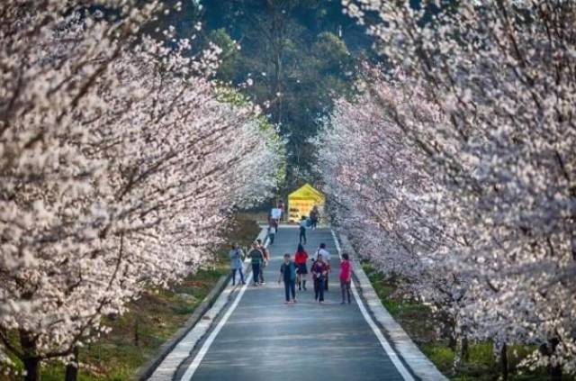 小孩骑大车 小孩吃力、小孩可能失败