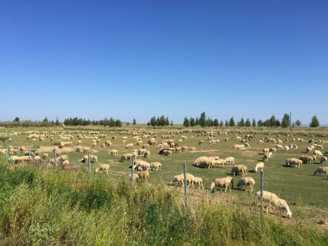 本视频 但消息似乎没有完整发送