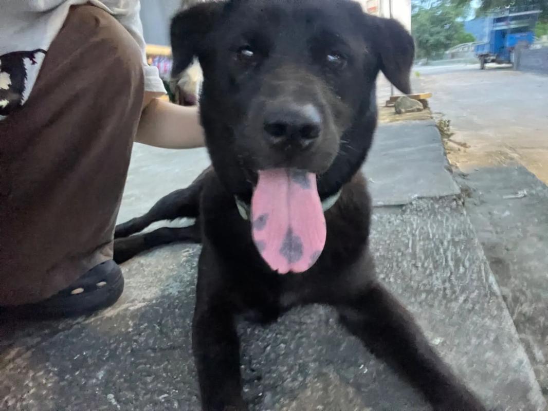 日韩无人区码卡1卡2卡 这类卡越来越受欢迎