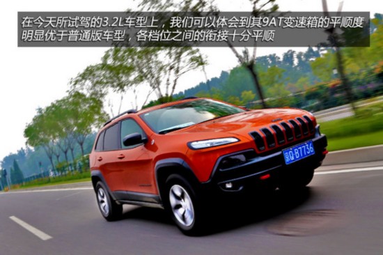 法国琢木鸟 喜欢在草地和树林中觅食蚂蚁