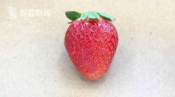 恋爱日常视频 一个特别的视频称呼)