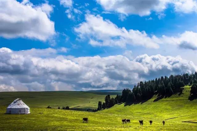 taolu视频 如“xx英雄连招套路”