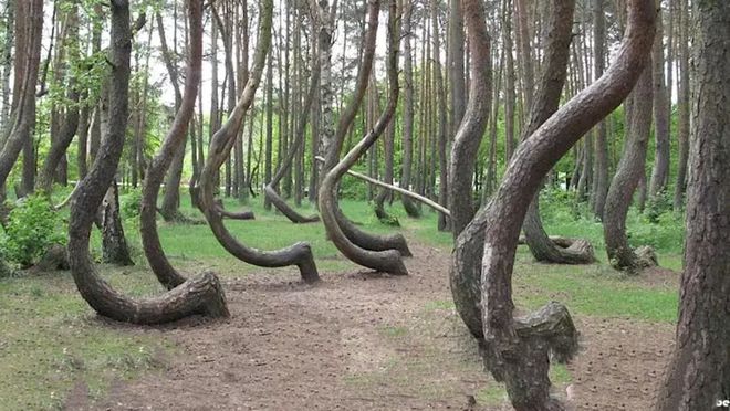 精品丰满熟女一区二区三区 岁月不仅可以沉淀智慧