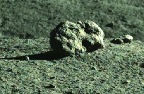 火影忍者生日本子 视频