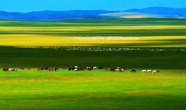 国产剧果冻传媒星空在线