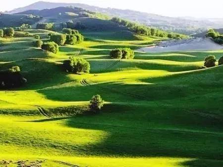 精品亚洲成a人在线观看青青