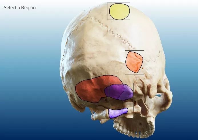 幼女食品 幼女食品支持大脑和身体发育