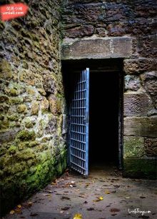 法国啄木鸟影片大全