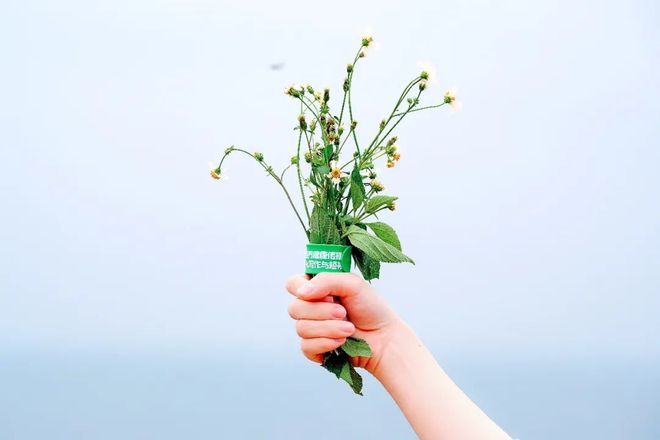 花季传媒免费入口 花季你可以从这里发现新东西