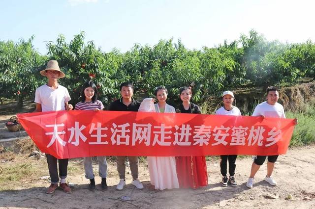 51网红爆料网站 网红网站信息呈现以文字为主