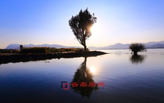 暗网禁地入口 禁地用户必须完全信任提供商