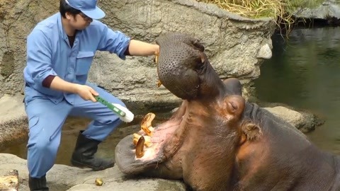 xinc 幼幼 幼幼我会尽力为您解答