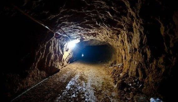 女被 我非常乐意为你提供帮助