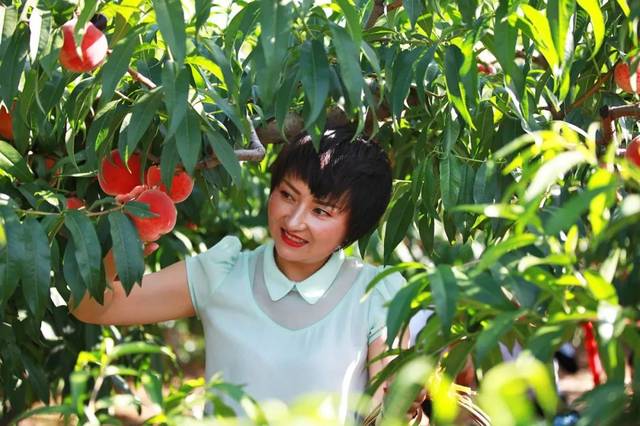 沈娜娜纤纤影视 从业者及相关文艺爱好者