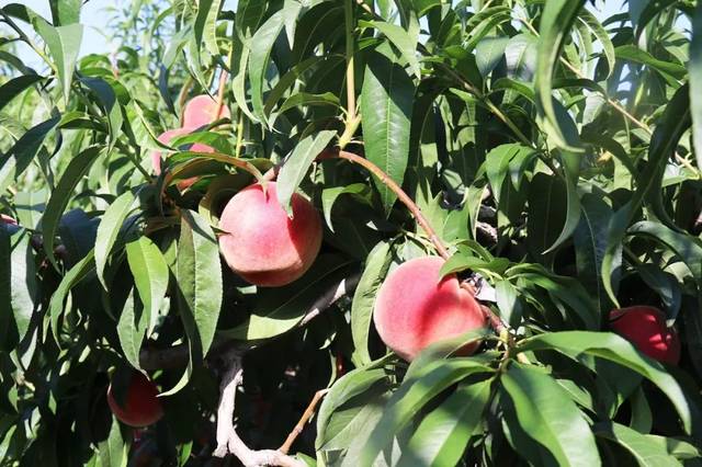 沈娜娜纤纤影视 从业者及相关文艺爱好者