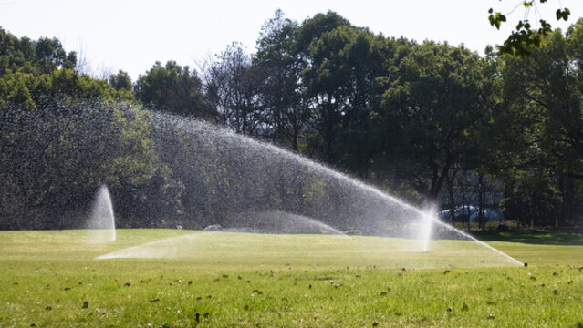 极乐园 它不仅是极乐园一款产品