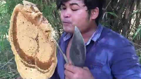 久久亚洲精品无码AV网仙踪林 踪林我们必须认识到