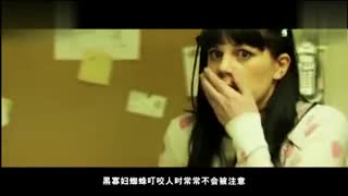 mc 3d同人 社区有大量MC风格教程