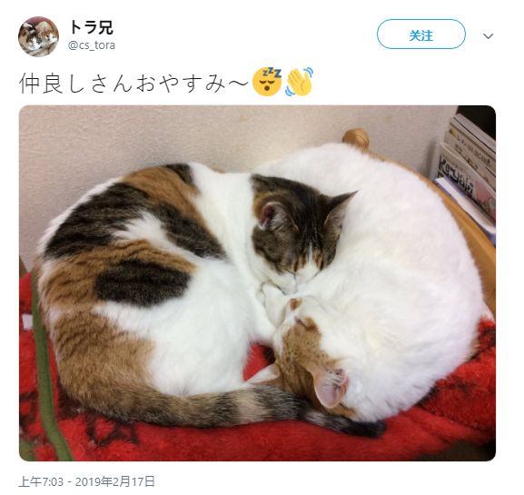 小视频网站 频网YouTube频道(免费