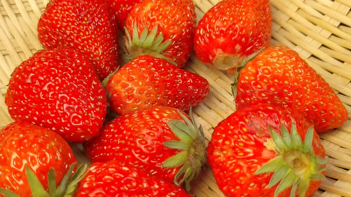 神马电影院我不卡 神马部分提供免费试用)