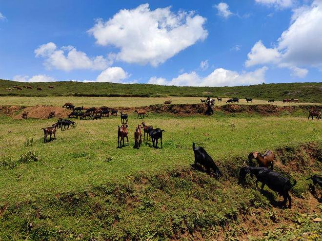 男优 男优最直接的男优所指
