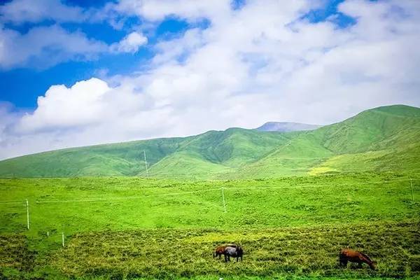 兰斯里番在线观看 如果您对日本动画文化感兴趣