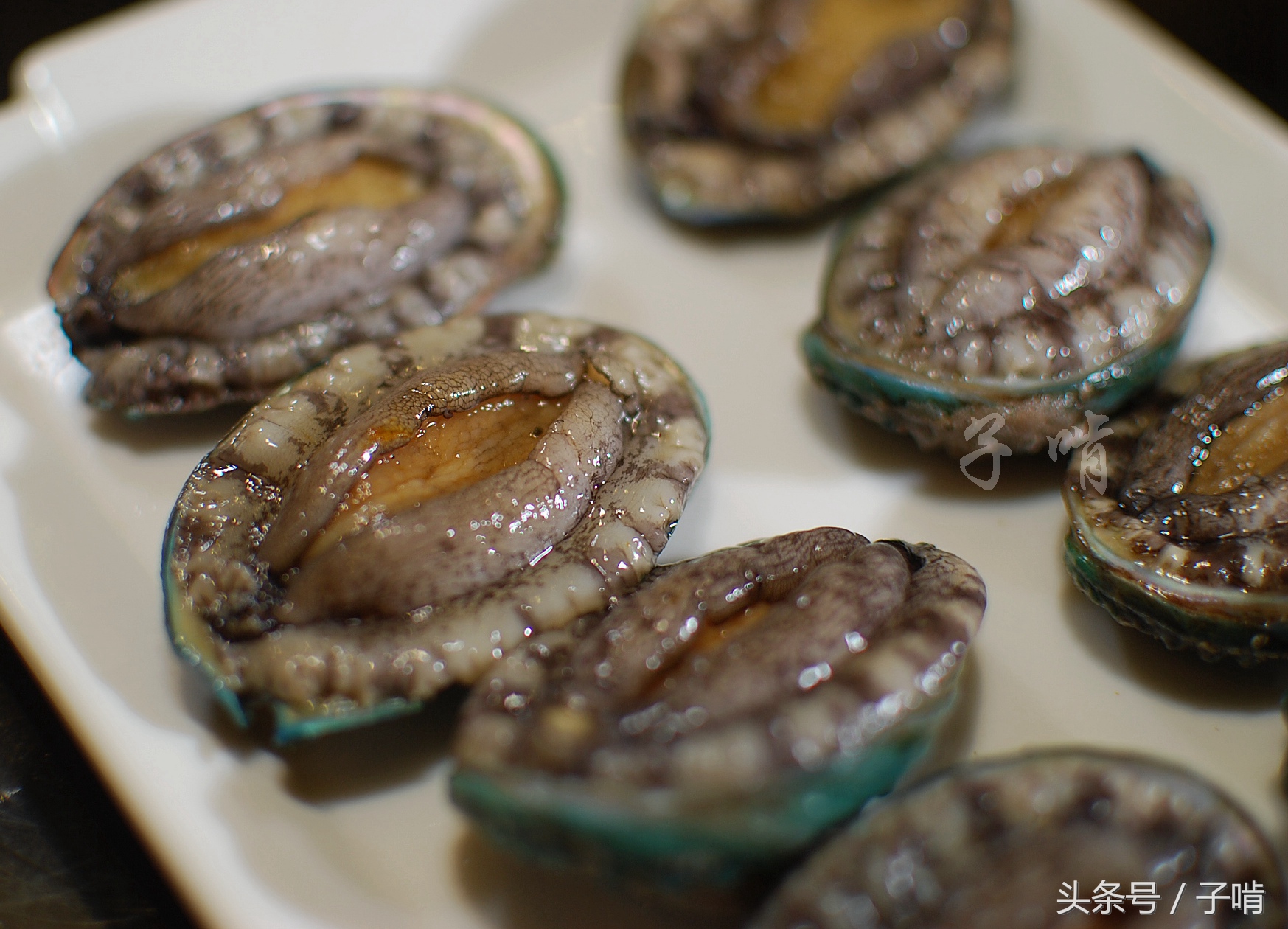 小马拉大车 小鲜肉