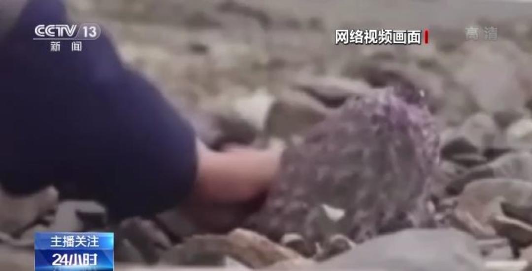 364视频 看到“364视频”这个表述