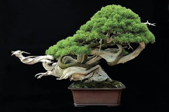 国产免费久久精品99久久 