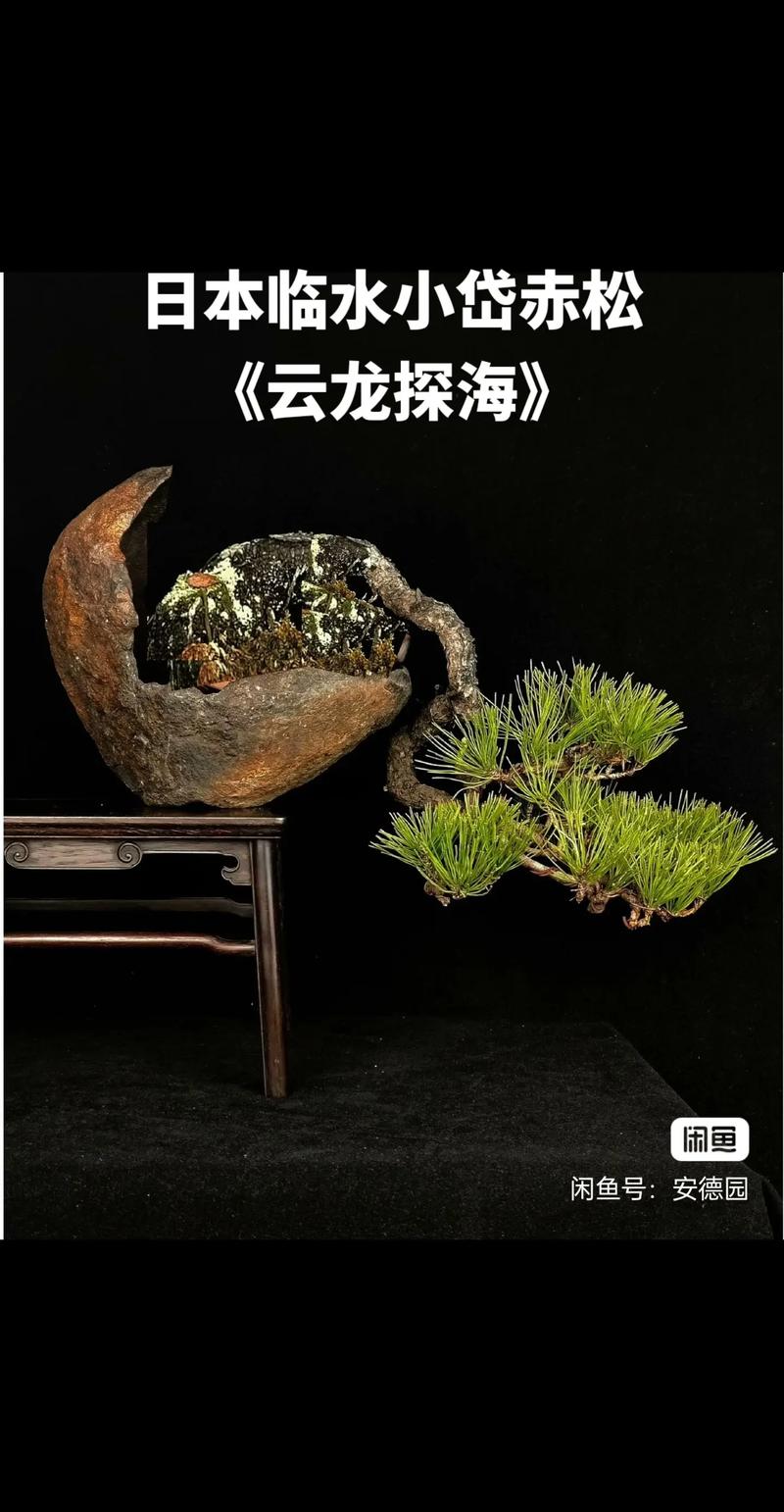 亚洲色偷自拍高清视频 避免被黑客入侵变成偷拍工具