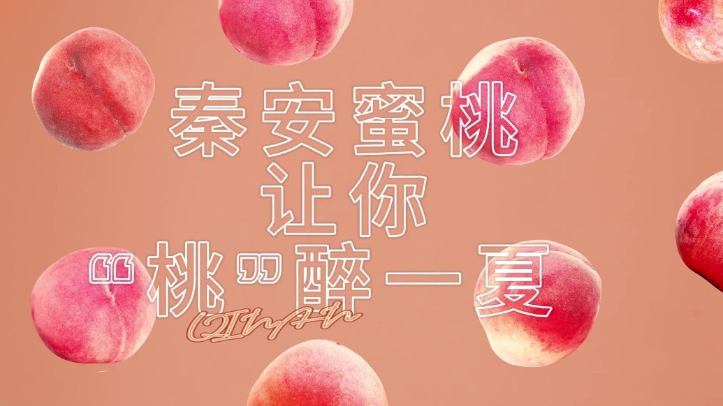 tara 视频 视频我将能更好地协助您