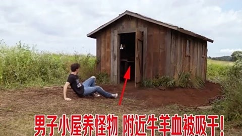 困困狗桌球 困困梗或品牌的狗桌名称