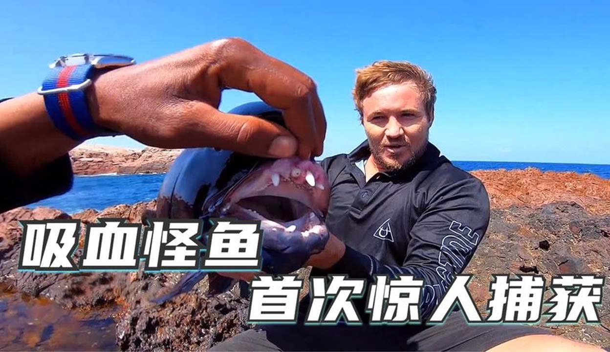 上海圣海纸业有限公司 招标 最新的上海圣海信息