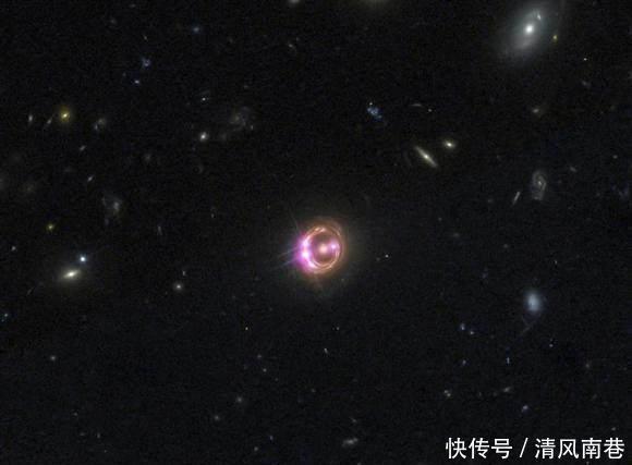 忘忧草社区韩国在线WWW官网 成为许多人的忘忧网首选平台