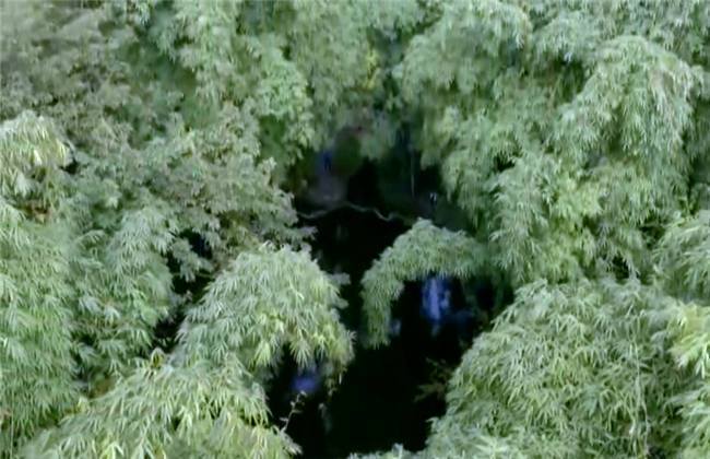 火火影忍者本子 