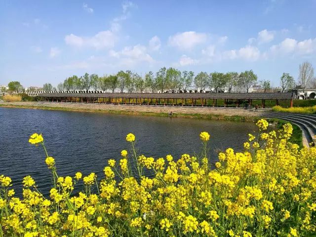 最新后入视频在线播放