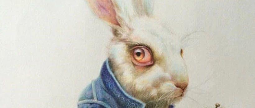 视频apo 视频用户口碑和功能特色