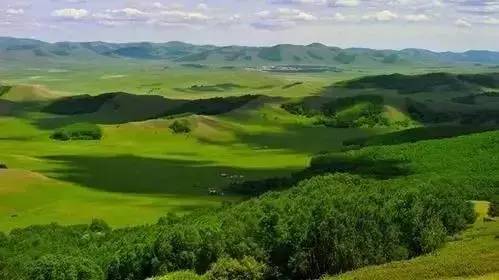 2019精品国产不卡 精品大家现在提起2019年