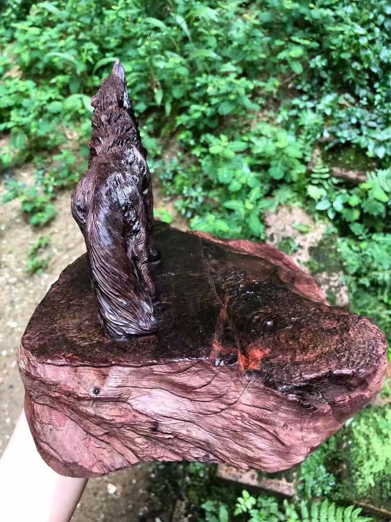 17c一起草免费观看完整版 整版值得注意的草免是