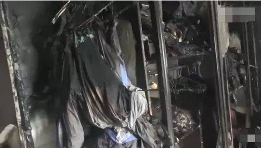 杰西简啄木鸟 杰西简啄若为中文名