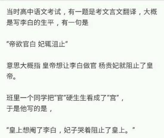 2020猫咪最新地域网名