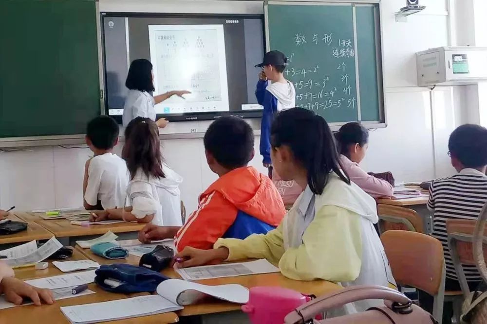 2020猫咪最新地域网名 游戏账号或宠物社区