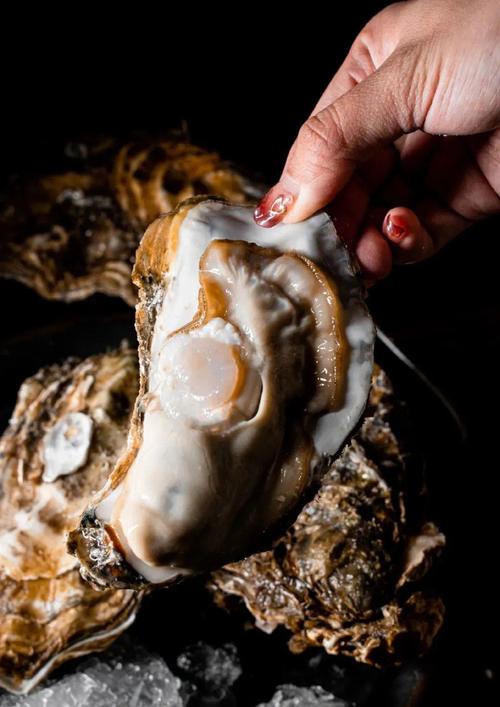 直播录屏 定时录制等实用工具