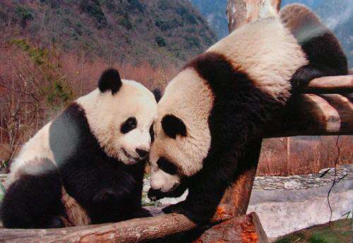 在线观看视频网站