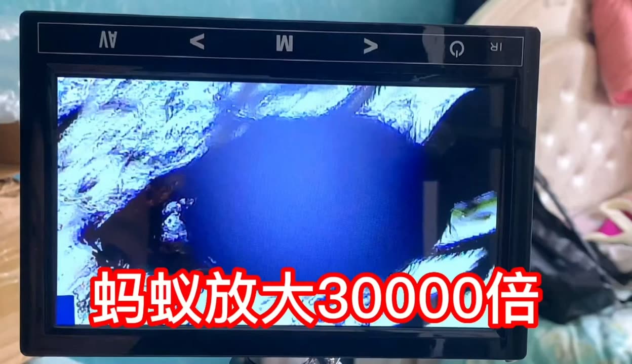 懂片帝破解版下载 懂片帝破涉及法律违规