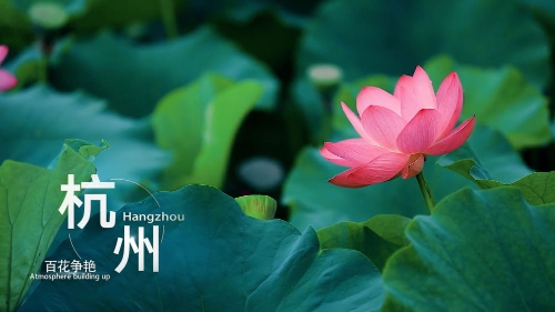 saber视频 腾讯视频、游戏相关内容