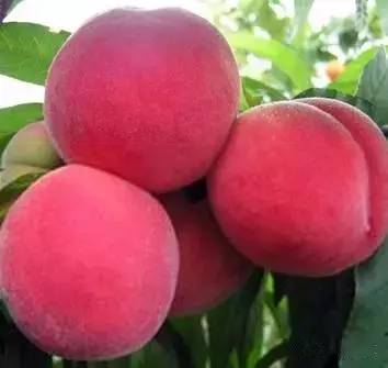 久久精品无码一区二区国产盗 国产视频行业才能健康发展